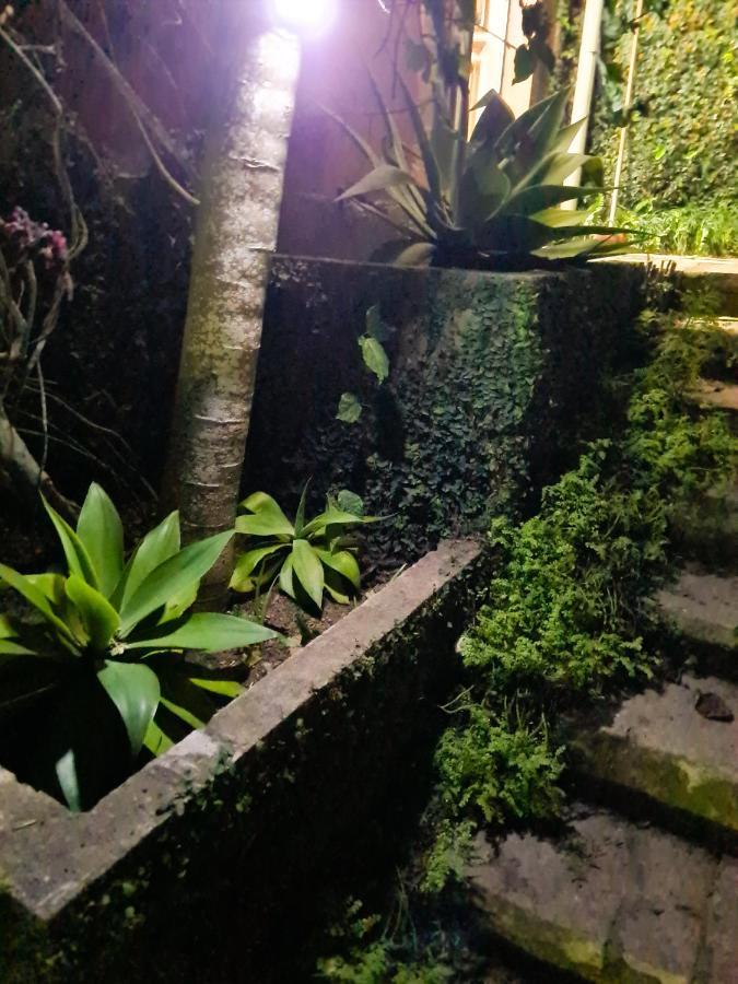 Villa Violeta Petrópolis Exteriér fotografie