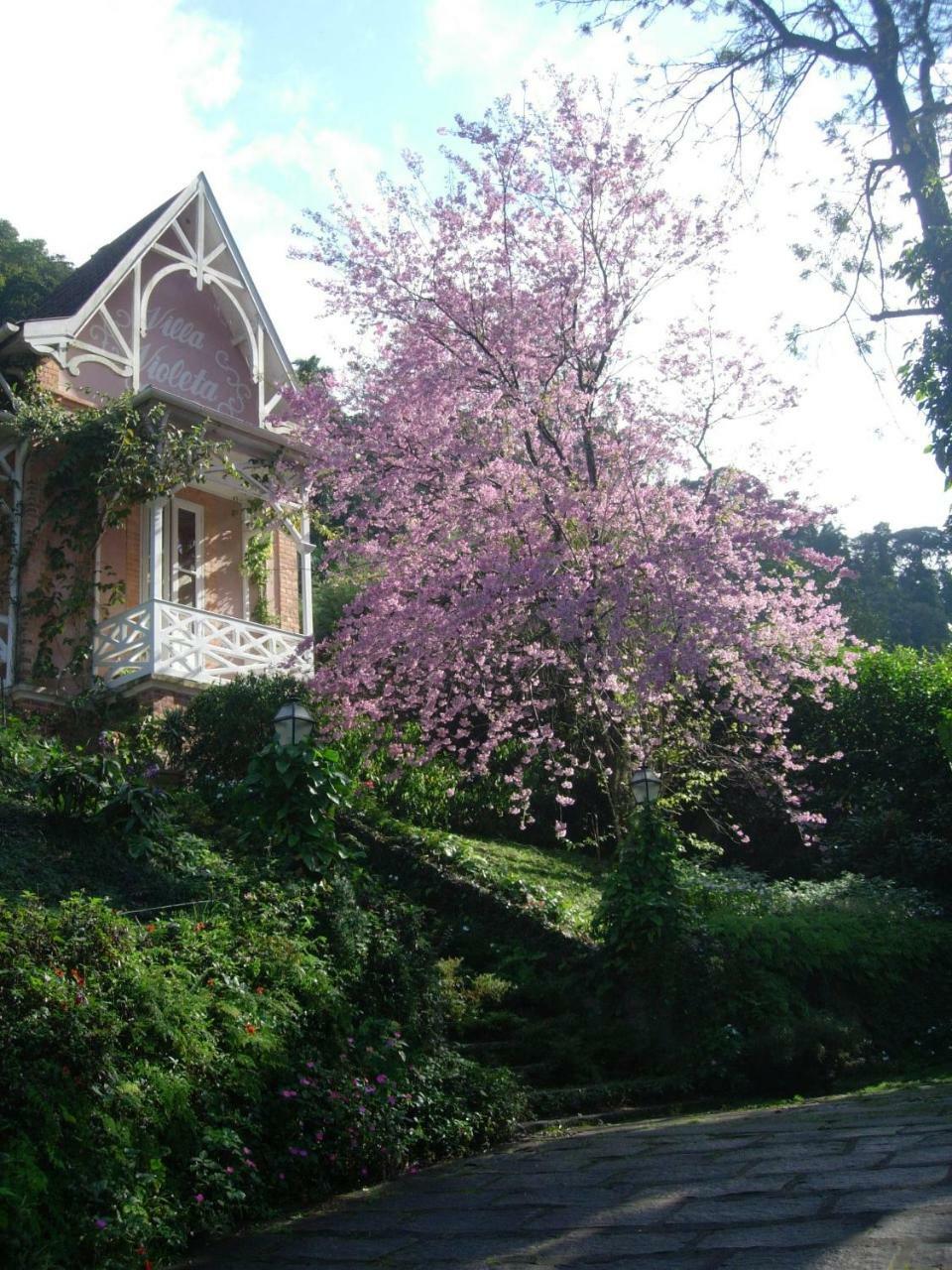 Villa Violeta Petrópolis Exteriér fotografie