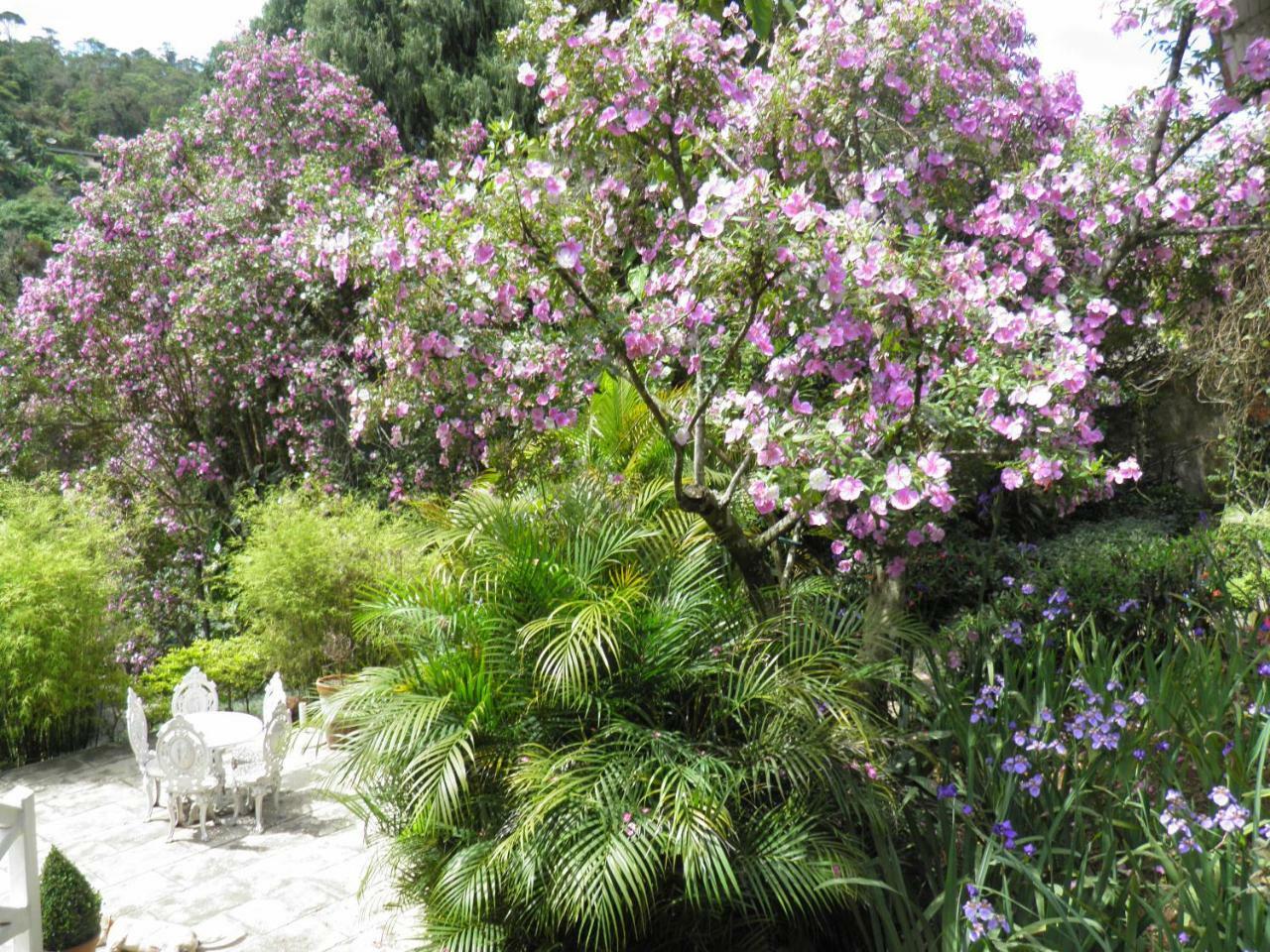 Villa Violeta Petrópolis Exteriér fotografie
